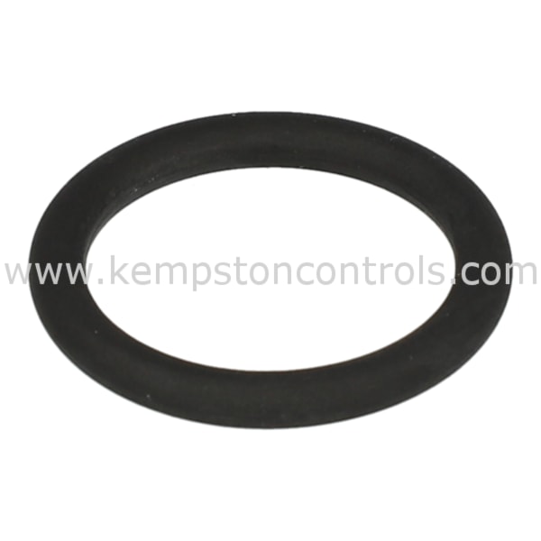 Baumer ZPX2-123 BAUMER O RING, FDA COMPLIANT, 3-A CERTIFIED, DN38 ...