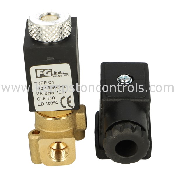 Fg Line Other AN01BV20T/C1-110VAC FG LINE SOLENOID VALVE ASSEMBLY, 1/8